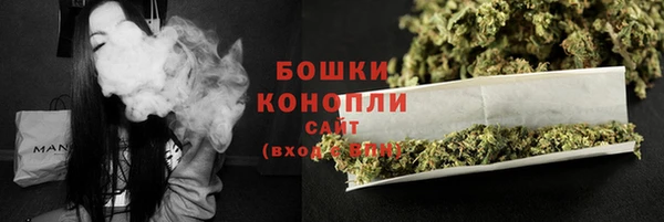 ECSTASY Белокуриха