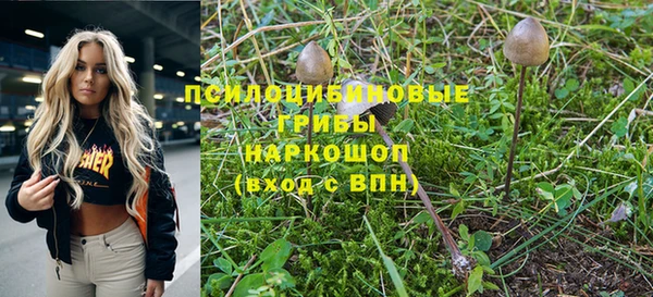 ECSTASY Белокуриха
