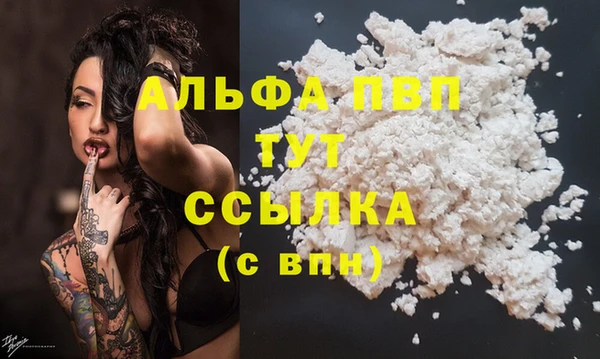 ECSTASY Белокуриха