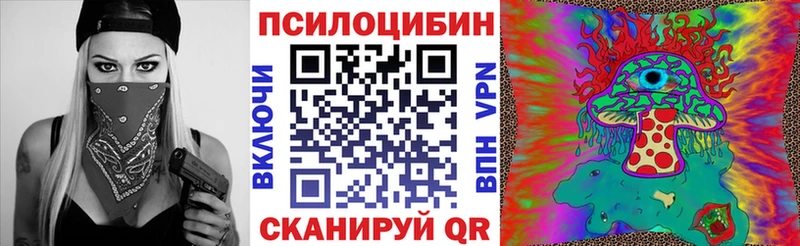 купить наркотики цена  Дальнегорск  Псилоцибиновые грибы GOLDEN TEACHER 